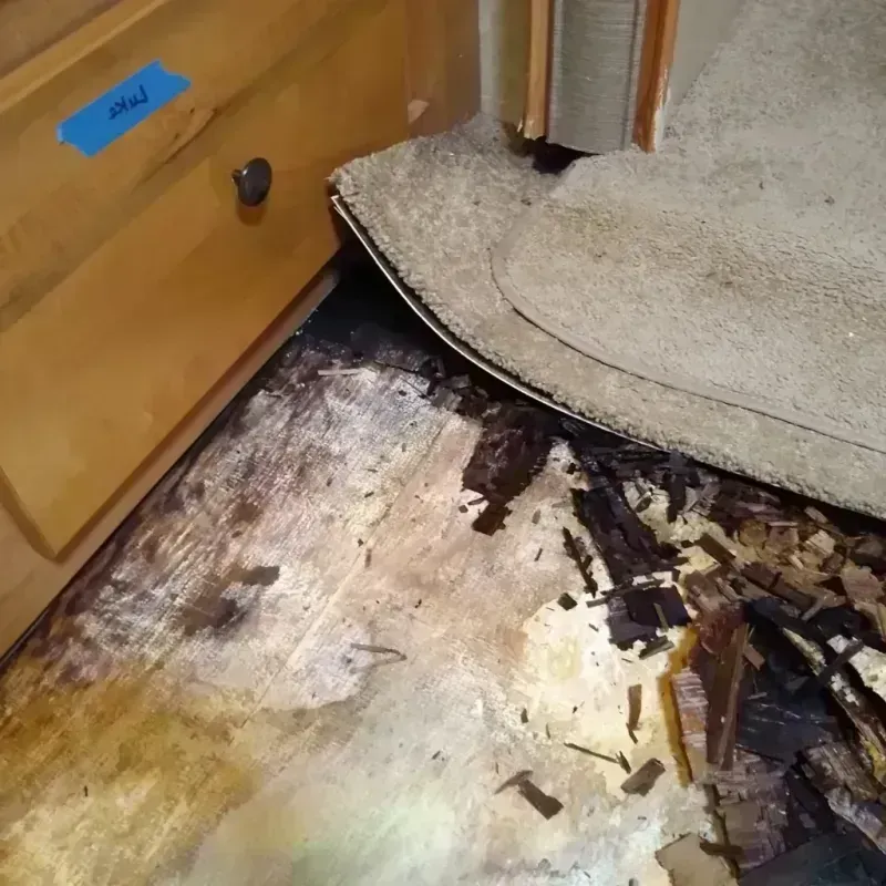 Wood Floor Water Damage in Vail, AZ